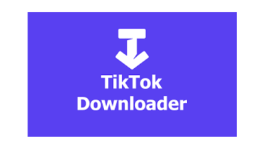 tiktok-video-downloader-online-instagram-video-download