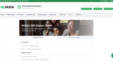 how-to-check-your-sassa-status-online