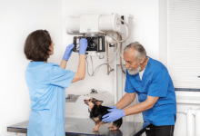 a-complete-guide-to-buying-quality-veterinary-medical-equipment