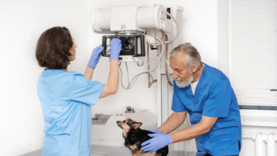 a-complete-guide-to-buying-quality-veterinary-medical-equipment
